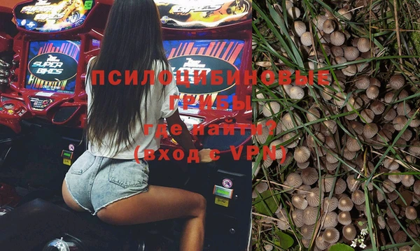 прущие грибы Абинск