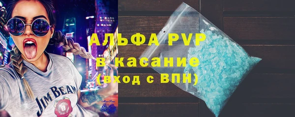 прущие грибы Абинск