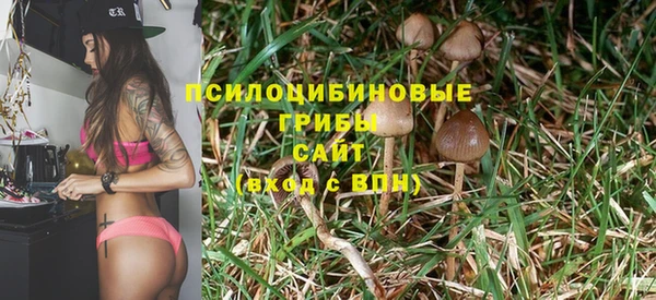 бутират Абаза