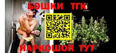 индика Кулебаки